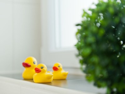 Holiday apartment Waltenberger Sonthofen - Features photo 12