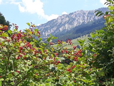 Holiday apartment Waltenberger Sonthofen - Environment photo 15