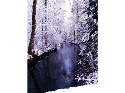 Holiday apartment Waltenberger Sonthofen - Environment photo 20