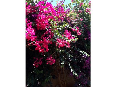 Holiday house Villa Anne - Outdoor photo 12