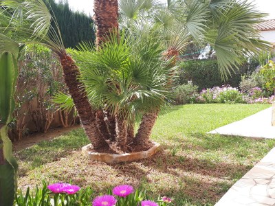 Holiday house Villa Anne - Outdoor photo 13