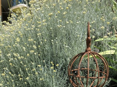 Holiday apartment The Harvest - Outdoor photo 16