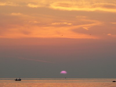 Apartment Villa Dijana - Environment photo 16