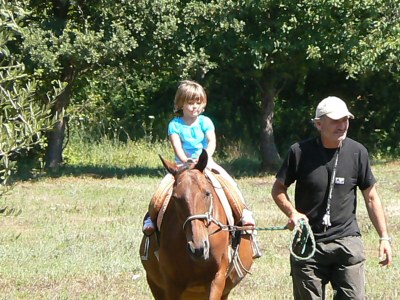 Apartment Villa Dijana - Environment photo 20