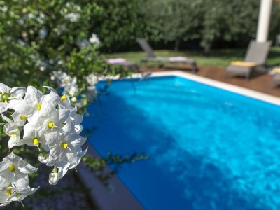 Villa Family Paris - Outdoor photo 8