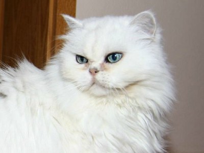 Holiday apartment Katharina 1 - Environment photo 18