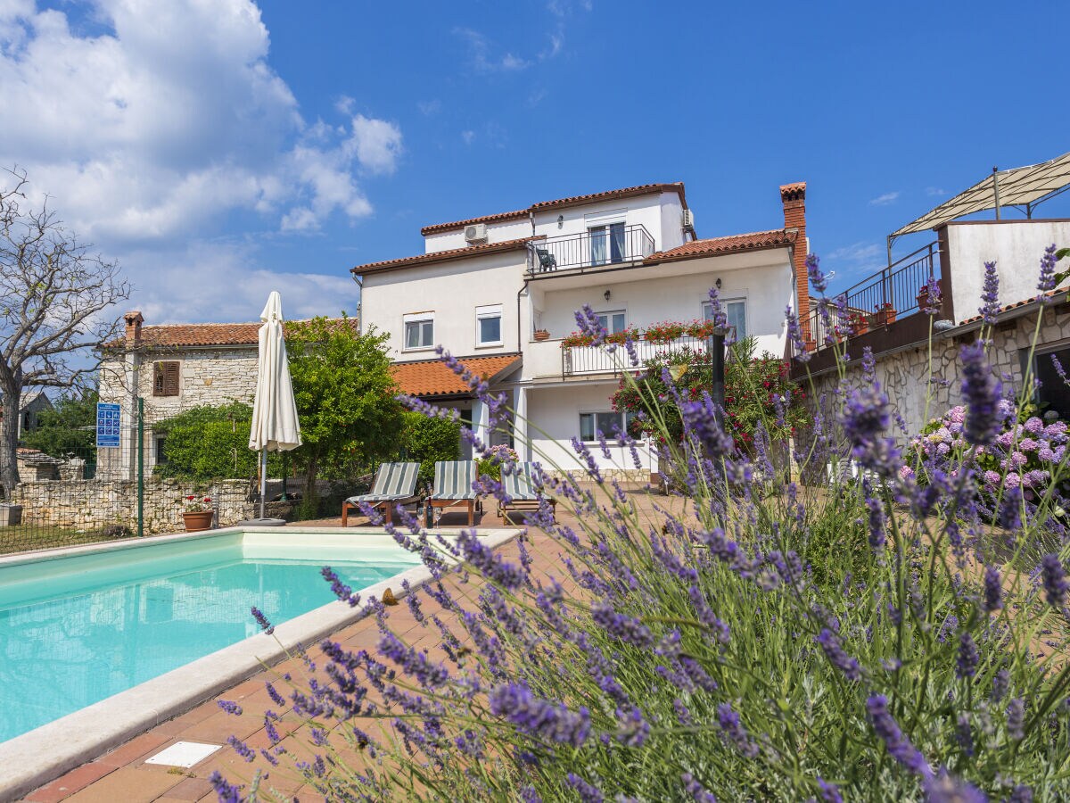 Holiday house in Kujichi