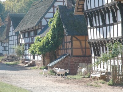 Holiday house Meyer 3 - Environment photo 17