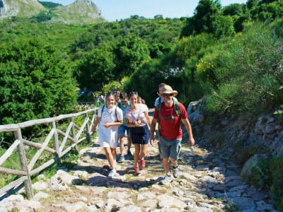 Villa Gisella - Environment photo 20