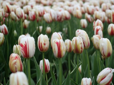 Holiday apartment de Korre 14 - Environment photo 22