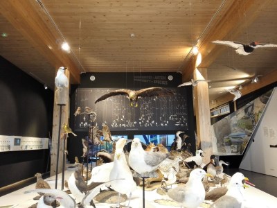 Holiday apartment Strandnahe Ferienwohnung Wartberg - Environment photo 23