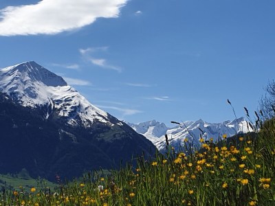Holiday apartment In the guesthouse Zedlacherhof - Outdoor photo 6