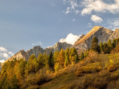 Holiday apartment In the guesthouse Zedlacherhof - Outdoor photo 8