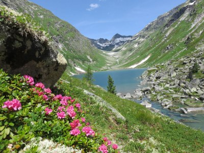 Holiday apartment In the guesthouse Zedlacherhof - Environment photo 30