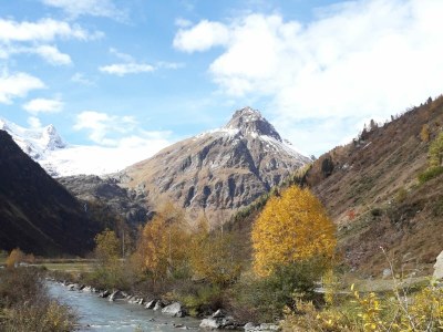 Holiday apartment In the guesthouse Zedlacherhof - Environment photo 34