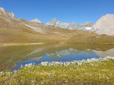 Holiday apartment In the guesthouse Zedlacherhof - Environment photo 36