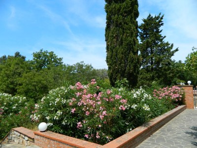 Apartment Casa Camino - Outdoor photo 9