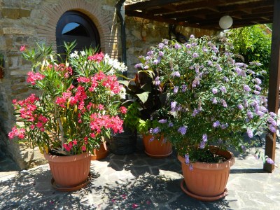 Apartment Casa Camino - Outdoor photo 14