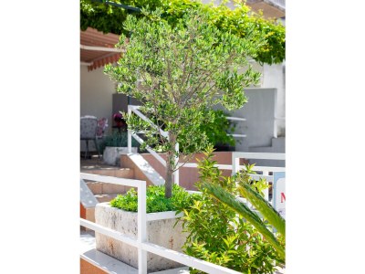 Holiday house Hause Nedika in Podgora Center-200m from the beach - Outdoor photo 7