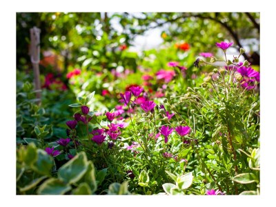 Holiday house Hause Nedika in Podgora Center-200m from the beach - Outdoor photo 11