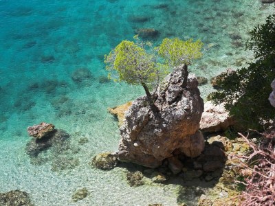 Holiday house Hause Nedika in Podgora Center-200m from the beach - Environment photo 30