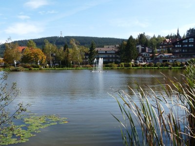 Holiday apartment Leonard - Environment photo 17