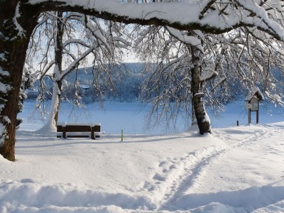 Holiday apartment Leonard - Environment photo 22