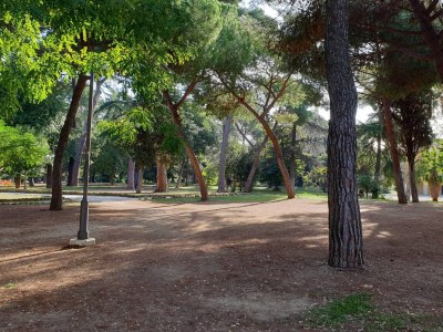 Holiday apartment Domus Appio Latino - Environment photo 18