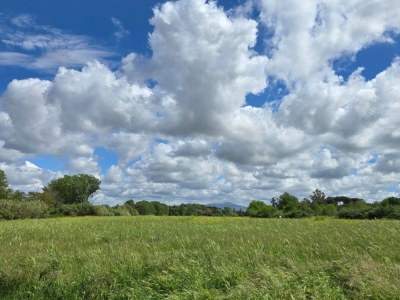 Holiday apartment Domus Appio Latino - Environment photo 19