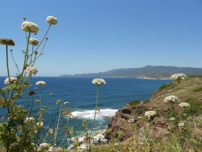 Holiday apartment in the Villa S. Maria del Mare - Outdoor photo 12