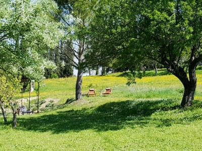 Holiday apartment with terrace, large garden and jacuzzi - 507 APT - Outdoor photo 8