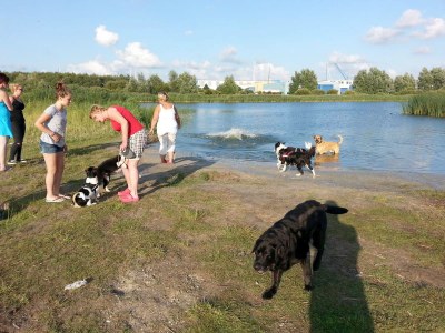 Chalet T5 - Environment photo 12