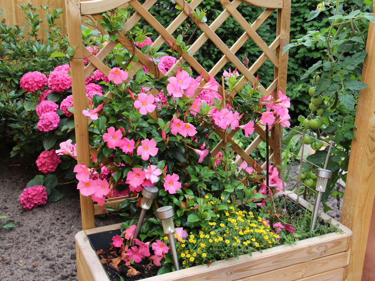 Holiday apartment Haus-Mühlenwarft - Outdoor photo 5