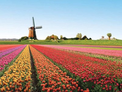 Holiday apartment Summer House Zand - Environment photo 19