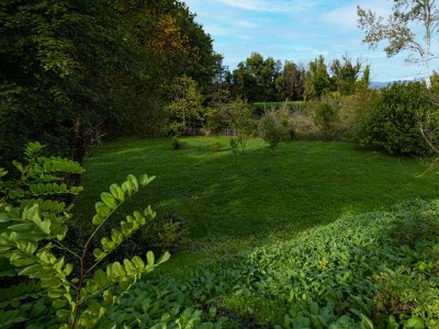 Holiday house Dog friendly holiday home in Roussillon - 446 ROU - Outdoor photo 6