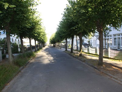 Holiday apartment Villa Gutenberg am Kurpark - Environment photo 18