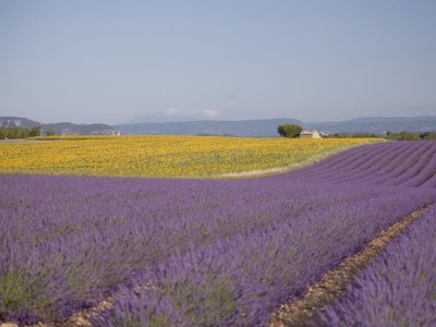 Holiday house with pool in the beautiful Luberon - 611 JOU - Environment photo 18
