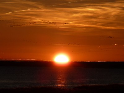 Holiday apartment Frieseneck W 20 - Environment photo 16