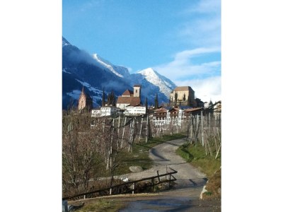 Holiday apartment Alvarium - Environment photo 21