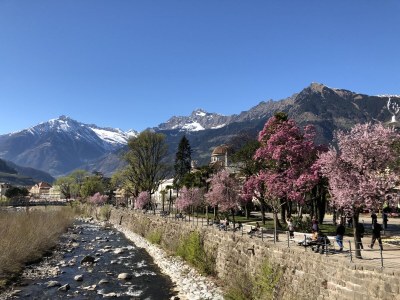 Holiday apartment Alvarium - Environment photo 23