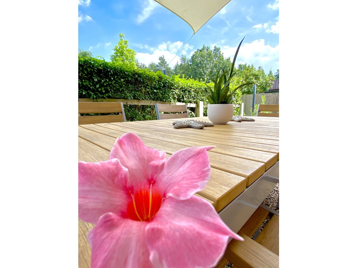 Holiday apartment Gartenland - Outdoor photo 2