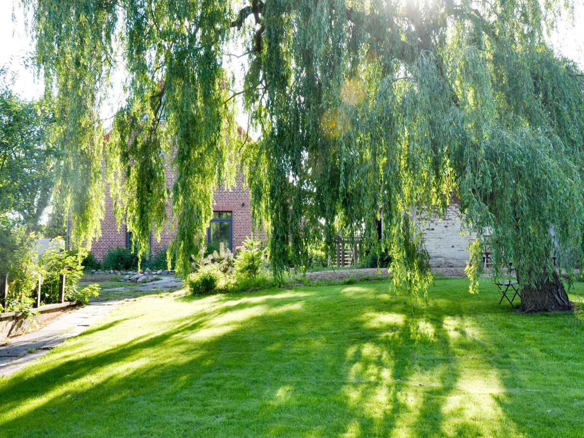 Holiday apartment Gartenland - Outdoor photo 3