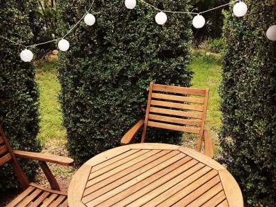 Holiday apartment Gartenland - Features photo 28