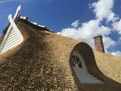 Holiday house Rügen-Traum - Outdoor photo 5