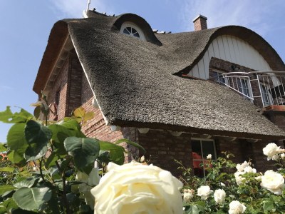 Holiday house Rügen-Traum - Outdoor photo 7