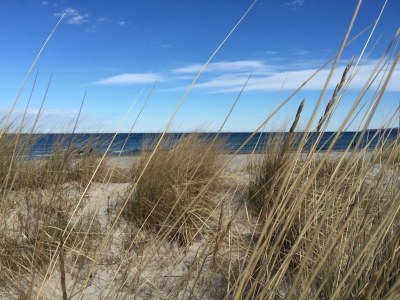 Holiday house Rügen-Traum - Environment photo 29