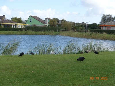 Holiday house right by the sea - Outdoor photo 7