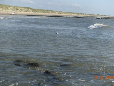 Holiday house right by the sea - Environment photo 23