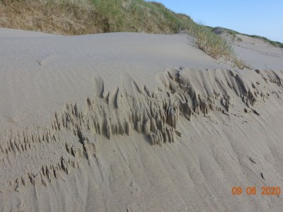 Holiday house right by the sea - Environment photo 24