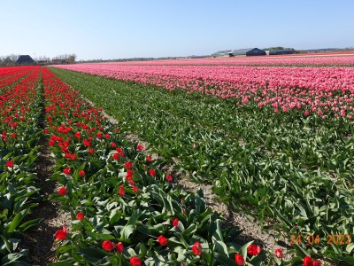 Holiday house right by the sea - Environment photo 27